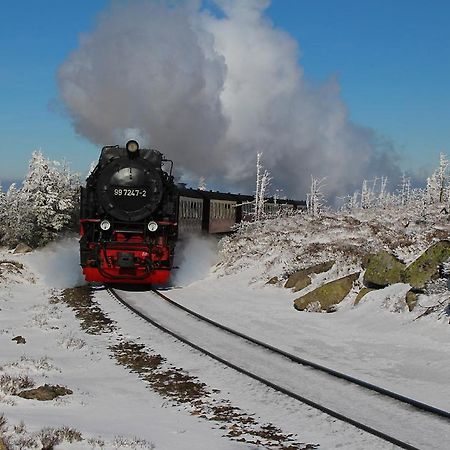 Harzparadies Ilfeld Экстерьер фото