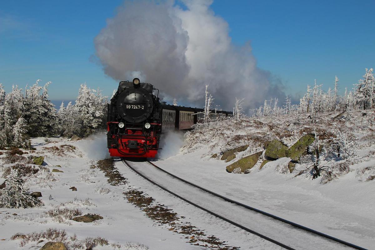 Harzparadies Ilfeld Экстерьер фото